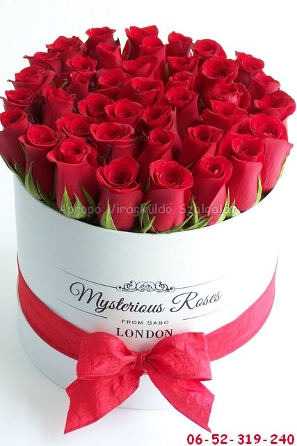 Vörös rózsa box 1. (40 szál) - Apropó Virágbolt Debrecen Vörös rózsa box 1. (40 szál) - Apropó Virágbolt Debrecen